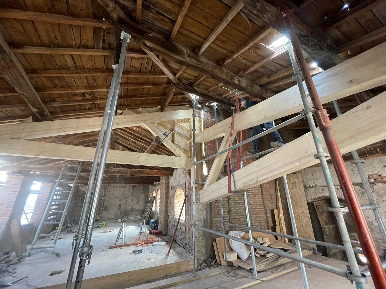 renovation-structure-charpente-bois-saunal-albi